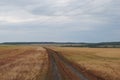 Monochrome autumn landscape. Cloudy sky, the boundless field. Open space, road, infinity