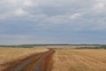 Monochrome autumn landscape. Cloudy sky, the boundless field. Open space, road, infinity