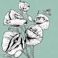 Monochrome Background with Bunch Poppy