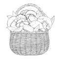 Monochrome basket with mushrooms. Vector illustration.