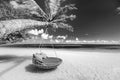 Monochrome beach view, palm swing with white sand seaside and dark sky. Abstract travel background Royalty Free Stock Photo