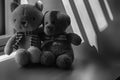 Monochrome Bear and kitten toy sitting by the window in shadows. Royalty Free Stock Photo
