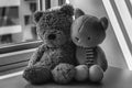 Monochrome Bear and kitten toy sitting by the window in shadows Royalty Free Stock Photo