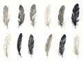 Monochrome bird feather boho vintage sketched art set