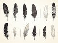 Monochrome bird feather boho vintage sketched art set