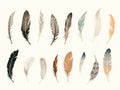 Monochrome bird feather boho vintage sketched art set