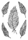 Monochrome bird feather boho vintage sketched art vector set