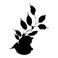 Monochrome black lemon citrus fruit branch leaves silhouette isolated on white background vector art