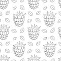 Monochrome black white fruit seamless pattern. Hand-drawn raspberries, blackberries. Simple outline background for web design,