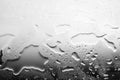 Monochrome black and white image of spilled water, glass surface in drops of water, gray gradient, abstract background Royalty Free Stock Photo