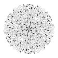 Monochrome black and white lace ornament vector