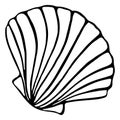 Monochrome black and white sea shell seashell silhouette ink line art sketch isolated vector Royalty Free Stock Photo