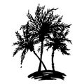 Monochrome black and white three tropical palm tree sea ocean beach hand drawn sketch vector