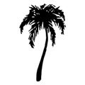 Monochrome black and white tropical palm tree sea ocean beach hand drawn sketch vector Royalty Free Stock Photo