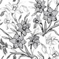 Monochrome botanical seamless pattern with hand drawn flowers daffodils Royalty Free Stock Photo