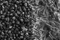 Monochrome Buckwheat and pasta texture high-quality photograph of premium buckwheat groats