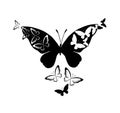 Monochrome butterflies abstraction. Vector illustration