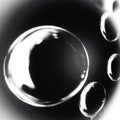 Monochrome Clarity: Abstract Water Bubbles on a Dark Background Royalty Free Stock Photo