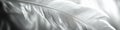 Monochrome Close-up of Feather Texture Royalty Free Stock Photo