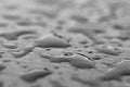 Monochrome close up macro image of rain droplets