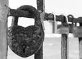 A monochrome close up of an old heart shaped rusty padlock chained to a railing with others Royalty Free Stock Photo