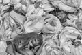 Monochrome carpet of rose blossoms top view vintage macro, symbolic figurative bed of roses love romance feelings romantic Royalty Free Stock Photo