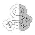 Monochrome contour middle shadow sticker with dachshund dog thinkin pet bone