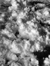 Monochrome cumulus clouds viewed from an airplane Royalty Free Stock Photo