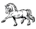 Vector standing pony 2 Royalty Free Stock Photo