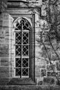 Monochrome detail image of Regency period design window in medieval house Royalty Free Stock Photo
