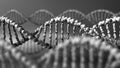 Monochrome DNA molecules. Genetic disease, modern science or molecular diagnostics concepts. 3D rendering Royalty Free Stock Photo