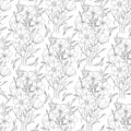 Monochrome doodle flower seamless pattern for adult coloring book. Vector sketch illustration, hand drawn style. Royalty Free Stock Photo