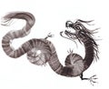 monochrome dragon on white background, chinese brush painting