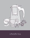 Monochrome drawing of glass teapot or jug with strainer, cup of herbal infused tea and linden flowers and leaves hand Royalty Free Stock Photo