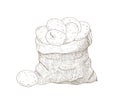 Monochrome drawing of potato tubers in burlap bag. Harvested tuberous food crops. Natural organic vegetables isolated on Royalty Free Stock Photo