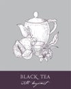 Monochrome drawing of teapot, cup, tea leaves, flowers and fresh bergamot fruit on gray background. Delicious flavored