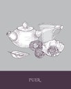 Monochrome drawing of teapot with long handle, transparent glass cup and puer tea leaves on gray background. Delicious