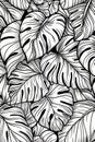 Monochrome Drawing of Tropical Leaves Royalty Free Stock Photo