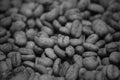 Monochrome Dried Lintong Coffee Beans of Lintongnihuta Royalty Free Stock Photo