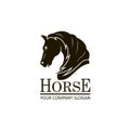 Emblem of horse head Royalty Free Stock Photo