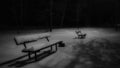 Monochrome Evenings: Benches Beneath the Evening Sky