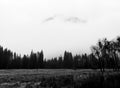 Monochrome Film Image Yosemite Valley California Royalty Free Stock Photo