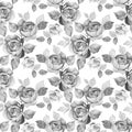 Monochrome Floral Pattern Of Rose Flowers. Watercolor Seamless Background