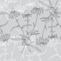 Monochrome Floral Rudbeckia Flower Seamless Pattern on Grey Background