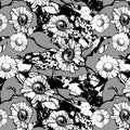 Monochrome floral seamless pattern with chamomile. White flowers and leaves on gray background. Hand drawn. For design Royalty Free Stock Photo