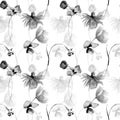 Monochrome floral seamless pattern with Gerbera and Poppy flowers Royalty Free Stock Photo