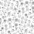 Monochrome floral seamless pattern with hand drawn flowers on white background. Stock vector Royalty Free Stock Photo