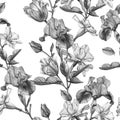 Monochrome floral seamless pattern with watercolor irises, tulips, narcissus and white flowers Royalty Free Stock Photo