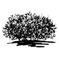 Monochrome flower bush silhouette sketched line art isolated vector