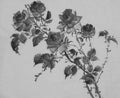 Monochrome rose flower picture